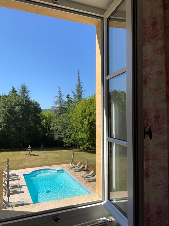 Chateau D'Argentonesse Castels 外观 照片